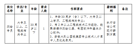 安徽大別山工程咨詢有限公司2024年招聘臨時工作人員公告