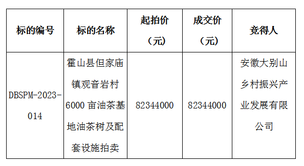 DBSPM-2023-014 霍山縣但家廟鎮(zhèn)觀音巖村6000畝油茶基地油茶樹及配套設(shè)施拍賣成交公示